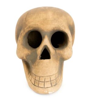 Crânio decorativo Orladinho