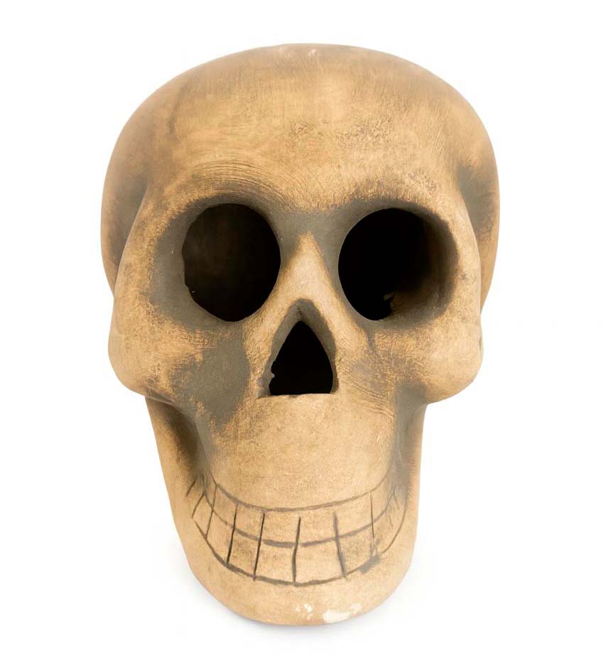 Crânio decorativo Orladinho - Imagem 2