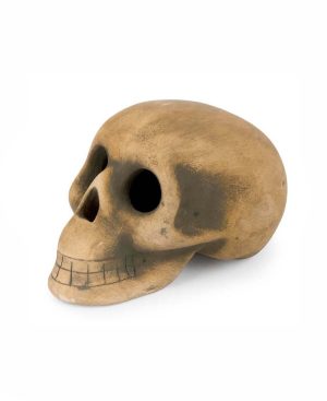 Crânio decorativo Orladinho