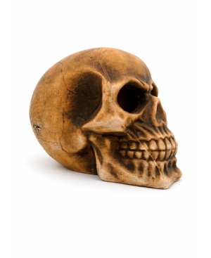 Crânio Morais